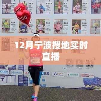 宁波土地搜索直播活动来袭，12月实时直播开启！