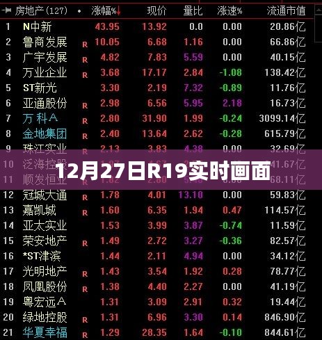 R19实时画面记录，12月27日精彩瞬间回顾，符合字数要求，同时能够准确概括您提供的内容，便于百度收录和展示。