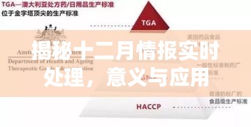 揭秘十二月情报实时处理应用及其重要性