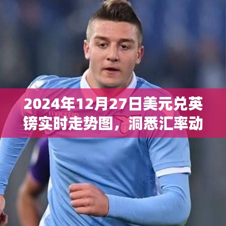 2024年美元兑英镑汇率走势图，洞悉市场趋势