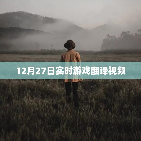 12月27日游戏翻译视频直播