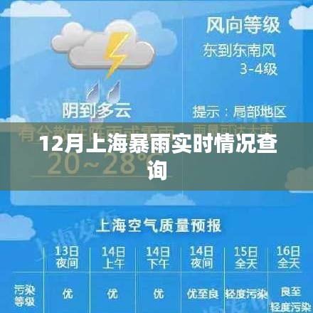 上海暴雨实时更新，最新天气动态查询