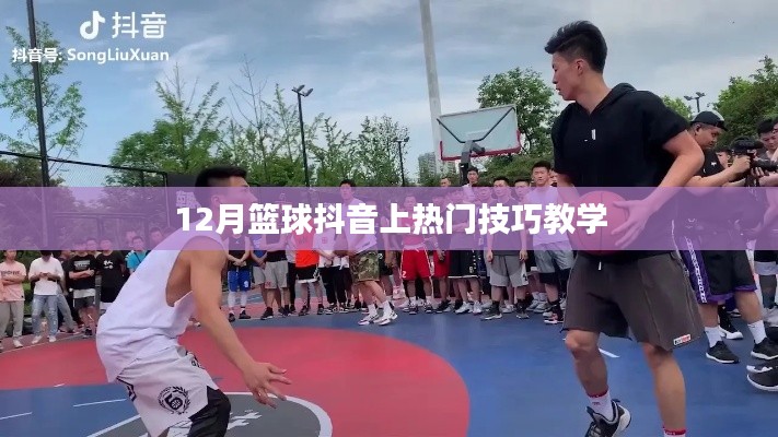 篮球抖音热门技巧教学，12月实战攻略