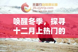 探寻十二月冬季上热门秘密