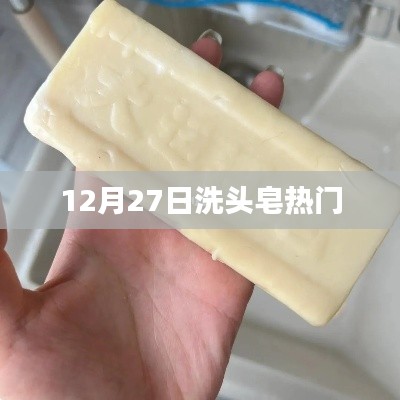 12月27日洗头皂趋势热议