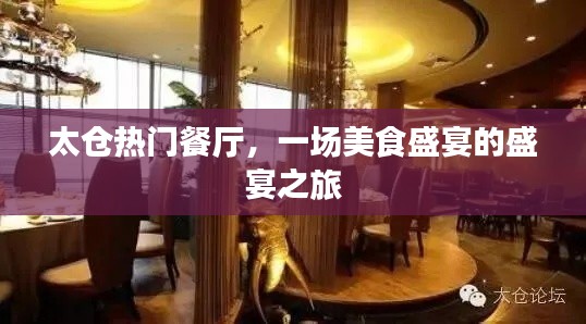 太仓美食盛宴，热门餐厅探秘之旅