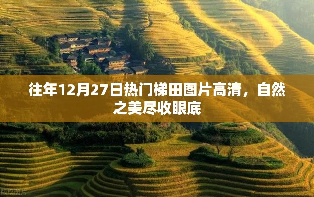 往年12月27日梯田美景高清图，自然韵味尽收眼底