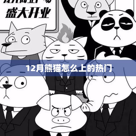 熊猫12月热门背后的故事