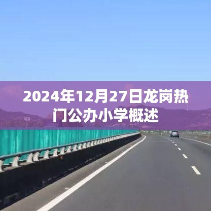 龙岗公办小学概览，2024年12月27日热门小学介绍
