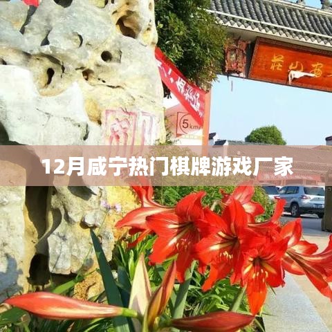 咸宁十二月热门棋牌游戏厂家揭秘