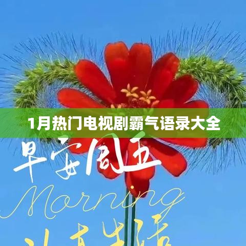 一月热播剧霸气台词盘点