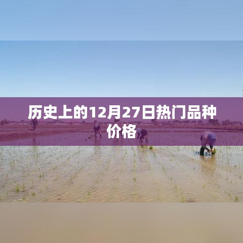 历史上的热门品种价格变动分析