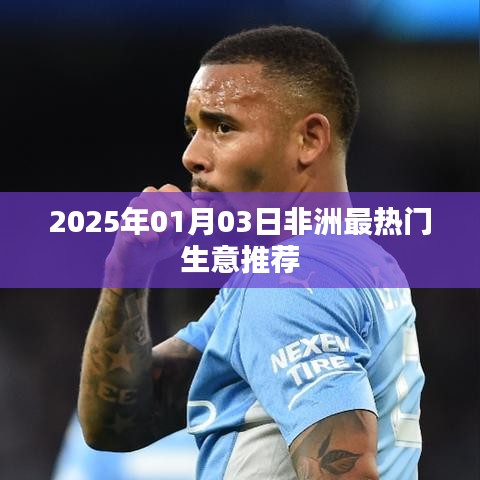 非洲热门生意推荐，2025年1月新商机解读