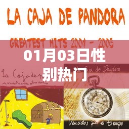 性别话题热议，最新动态一网打尽（01月03日）