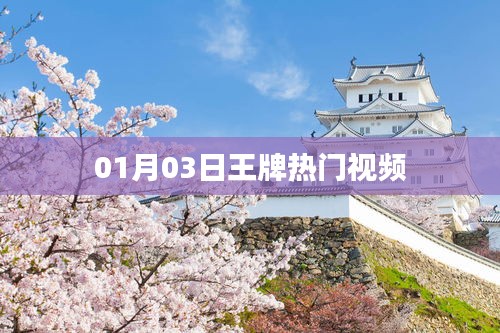 王牌热门视频盘点，最新热门视频精选