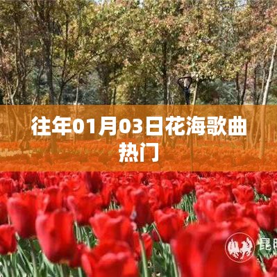 『花海歌曲热爆，历年一月初最受欢迎的旋律』