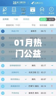 热门公益排名榜单揭晓