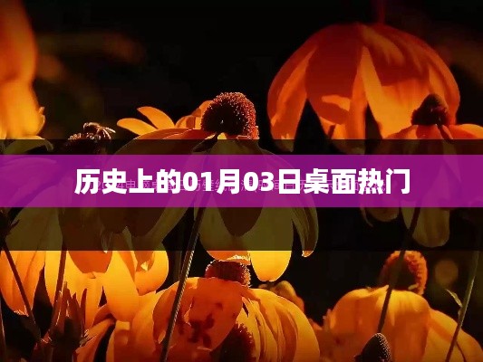 历史上的大事件，一月三日桌面热门回顾