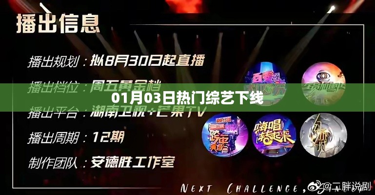 热门综艺1月3日下架