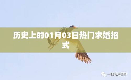 历史上的求婚秘籍，一月三日求婚攻略