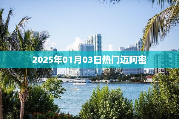 迈阿密2025年元旦热门活动日