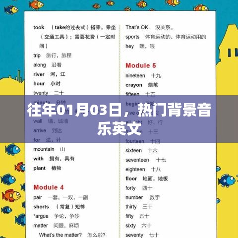 热门背景音乐英文盘点，历年一月初精选回顾