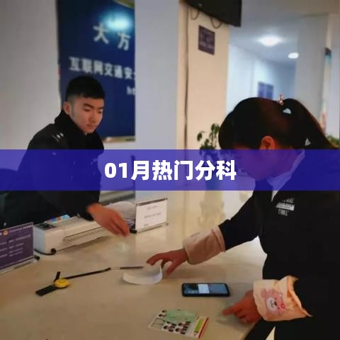 最新热门分科大盘点，一月精选不容错过
