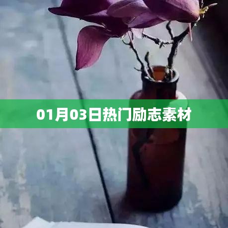 励志素材精选，新年新气象