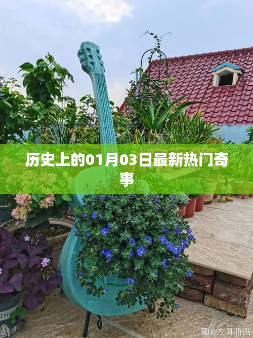 历史奇闻揭秘，一月三日最新热门事件回顾