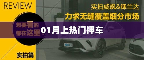 热门押车风潮来袭，一月引爆全网关注！