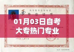 自考大专热门专业解析（最新）