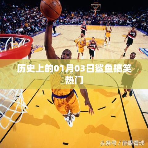 历史上的鲨鱼搞笑瞬间，一月三日欢乐回顾
