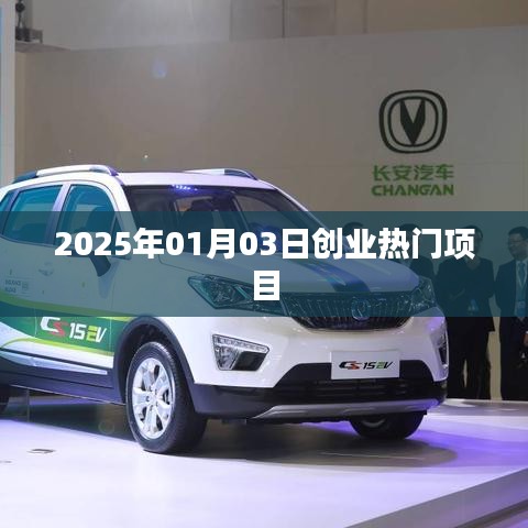 勤勤恳恳 第3页