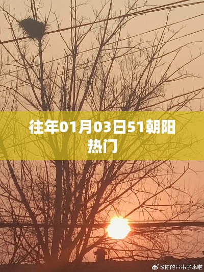 朝阳地区历年元旦后热门事件回顾