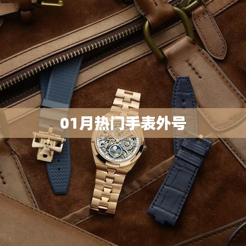 最新热门手表别名大揭秘