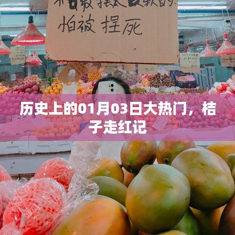 历史大热门，桔子走红记，揭秘背后的故事
