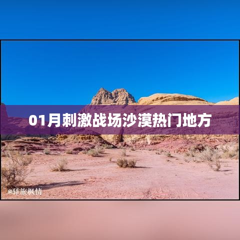 绝无仅有 第3页