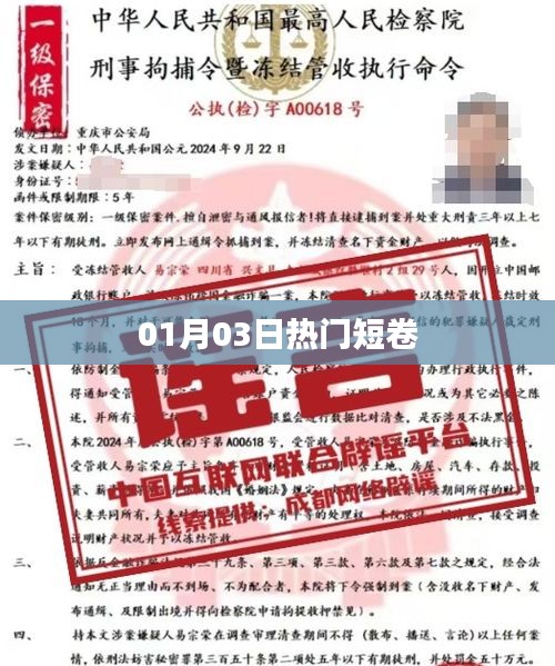 热门短卷大揭秘，01月03日最新流行趋势
