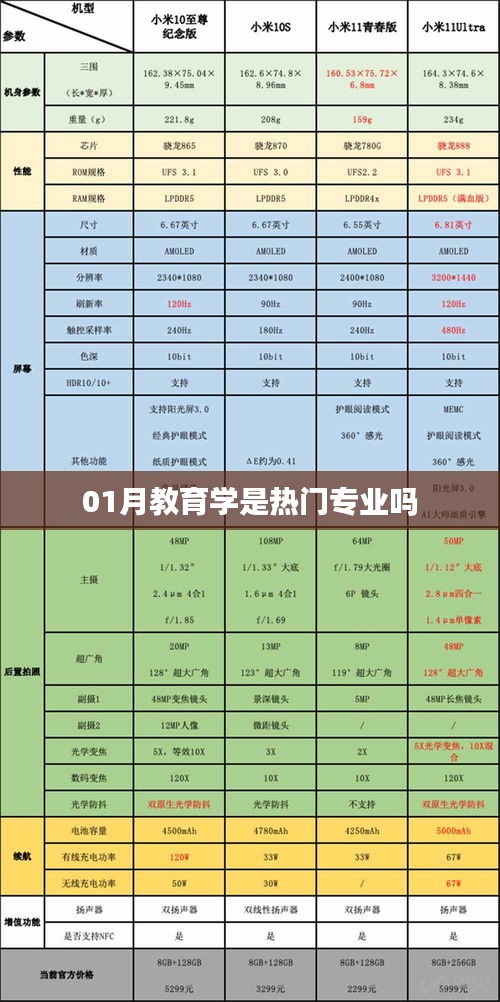 教育学是否成为热门专业，深度解析