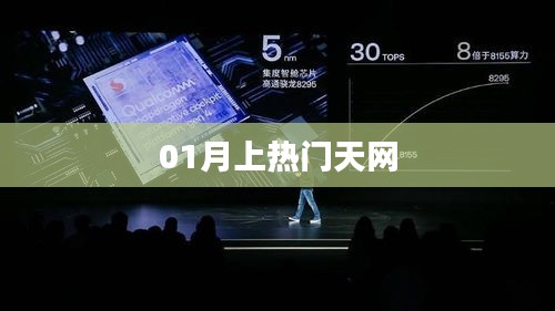 热门天网揭秘01月大揭秘
