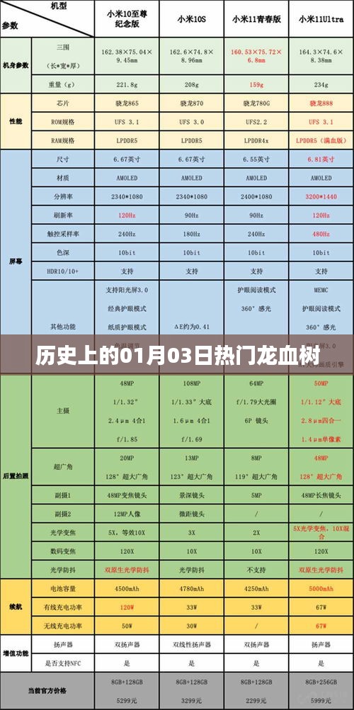 龙血树的历史变迁，一月三日的重要时刻回顾
