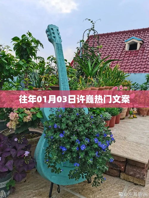 许巍元旦热门文案回顾
