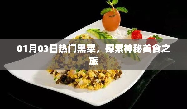 热门黑菜探索，神秘美食之旅（日期标注）