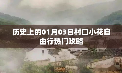 村口小花自由行，一月三日热门攻略回顾