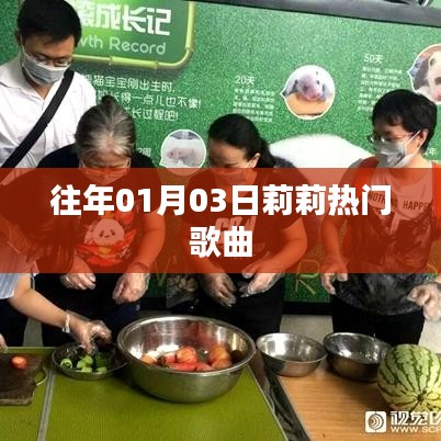 莉莉历年元旦热门歌曲盘点