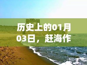 历史上的赶海热潮，一月三日作品瞩目上榜