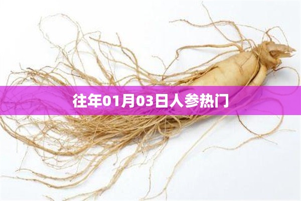 人参热门事件回顾，历年一月初三瞩目时刻