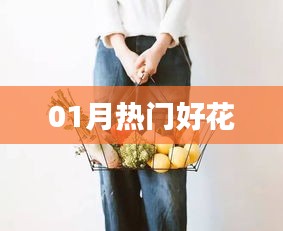 精选一月份热门花卉推荐