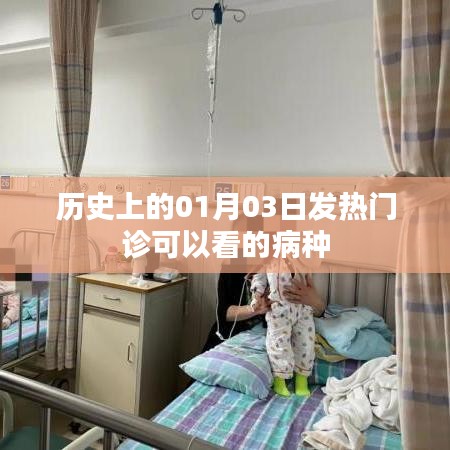 1月3日发热门诊可诊疗病种概述