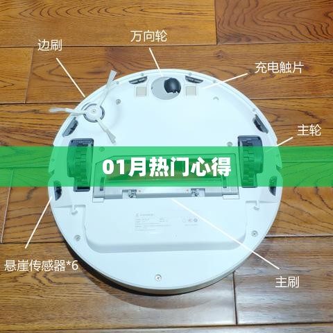 精选心得分享，一月热门心得回顾